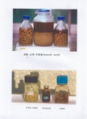 도토리추출물