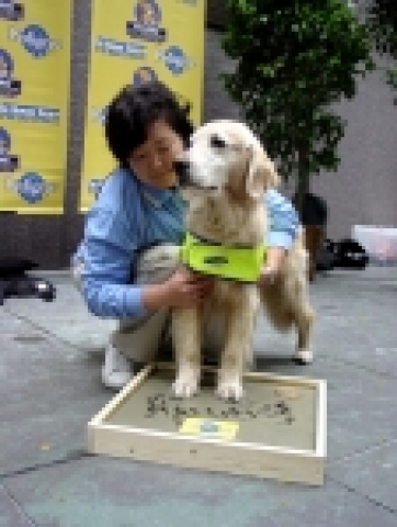 지난 9월 미국 뉴욕 &#039;세계영웅견선발대회&#039;에서 아태지역 영웅견으로 선발된 삼성SDI 도우미견센터의 자폐아 치료견 &#039;샌디&#039;