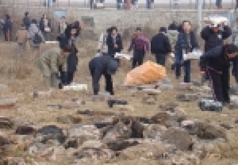 파주 민통선 지역 천연기념물 독수리 등에 먹이주기 행사 실시