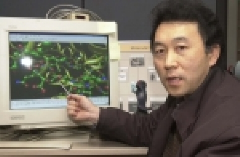 KIST 생체대사연구센터 윤창노 박사 