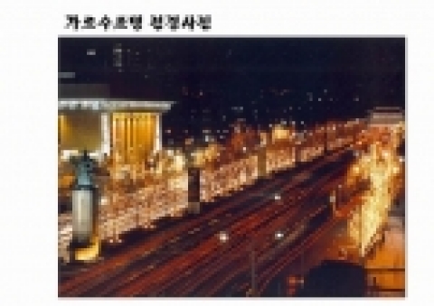 가로수 조명 전경 사진