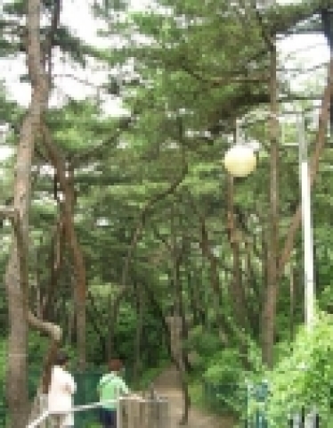  2005년 조성예정지(수복천약수터 주변) 사진