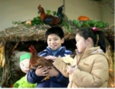 '세계닭전시회'에서 닭을 만져보는 아이들 사진