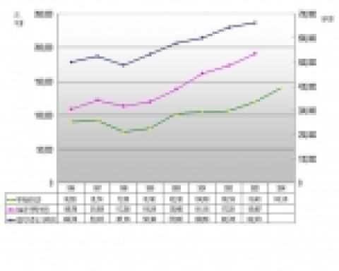 2004년도 특허출원, 전년대비 17.4% 급증