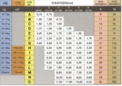 바인딩 이탈수치 조정표
 1. 그림의 조정표는 제1형 스키어에 해당됨.(2형은 아래로 1칸, 3형은 아래로 2칸 내린다)
    2. 체중과 신장의 스키어코드가 서로 다를 때에