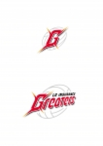LG화재 배구단, 엠블렘 발표 및 역사관 개관