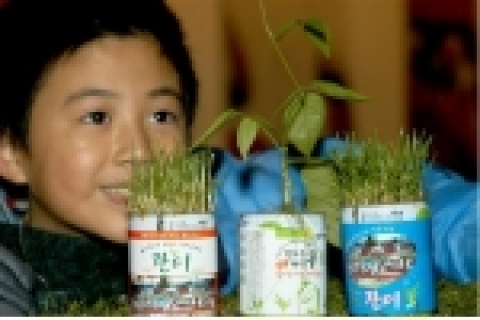 서울특별시시설관리공단은 오는 3월 1일(火)부터 서울월드컵경기장 내 홍보관에서 경기장에 깔린 잔디를 캔形 화분에 담아 판매할 예정이다.판매가격은 “꿈잔디” 5천원, “마법콩” 6천