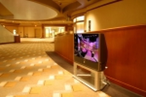 아카데미 시상식의 코닥 씨어터(Kodak Theater) 행사장내 로비와 VIP룸 등에 전시된 56