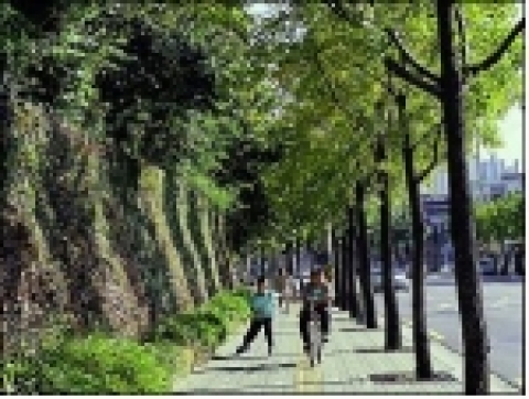 마포구 서강대학교 담장 녹화 후의 모습(서울시)