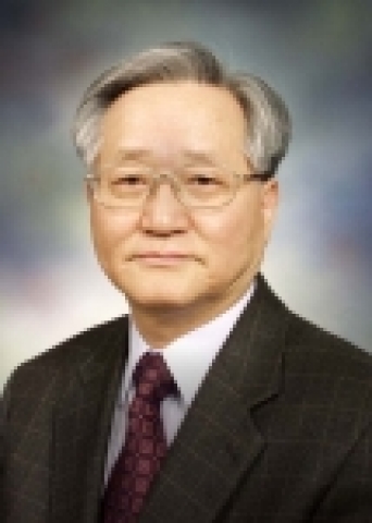 한국강구조학회 회장 김규석