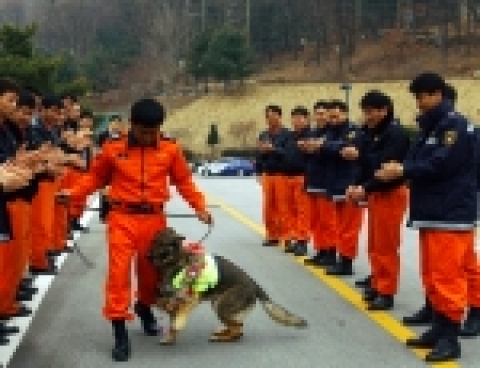 구조견 '다복' 은퇴행사