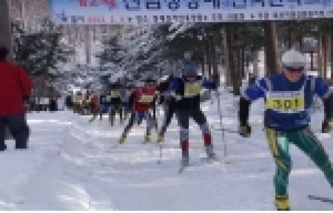 산악스키대회 경기 광경 