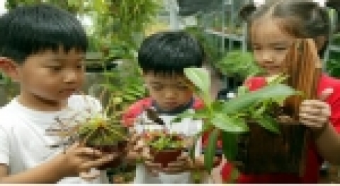 어린이 식물 교실