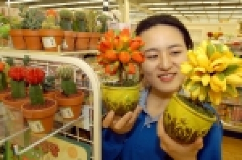 홈플러스에서는 오는 3월 31일부터 4월 13일까지 14일간 세탁세제를 40% 할인하여 판매하는 것을 비롯하여 집들이 관련 용품을 20~30% 저렴하게 판매하는 행사를 실시한다.