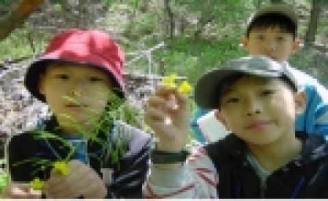 서울시 푸른도시국에서는 4월초부터 11월말까지 매주 일요일 남산, 관악산, 수락산, 청계산 등 11개 근교산 및 공원에서 숲속여행 프로그램을 운영한다. 안산 숲속여행 진행 광경