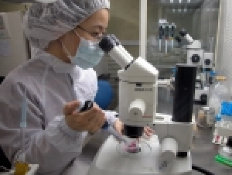 미즈메디병원 의과학연구소