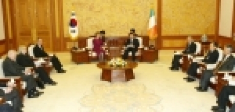 노무현 대통령은 한.아일랜드 정상회담에서 국빈방문중인 맥컬리스 대통령과 양국 현안에 대해 논의하고 있다. 