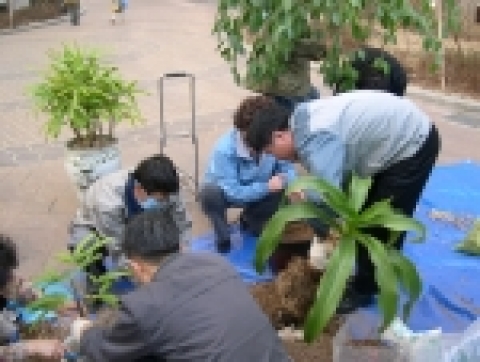 서울특별시농업기술센터에서 운영하는 가정원예식물병원은 서울시내 자치구별로 아파트단지에 순회하는 무료 현장이동식물병원입니다