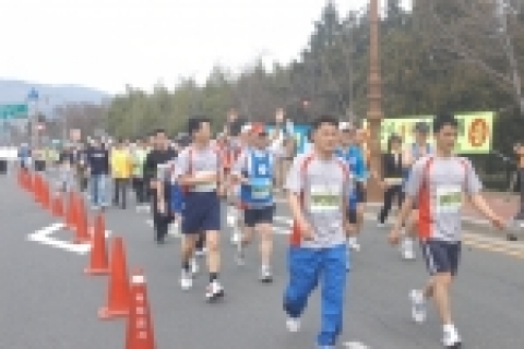신한은행 경주 벚꽃 마라톤대회