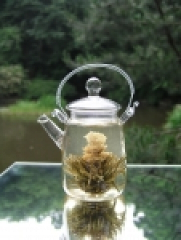 커피&차 쇼핑몰 코코비아(www.cocobia.co.kr 대표 김광률)은 이번 봄에 우리의 눈과 입과 코를 즐겁게 해줄 꽃차를 소개한다.