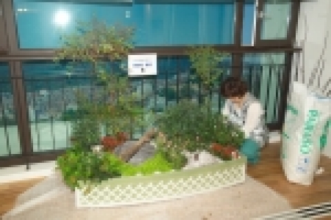 농촌진흥청(청장 손정수)은 4월 7일 서울 영등포구 여의도 CJ나이파크모델하우스에서 최근 사회문제가 되고 있는 새집증후군 예방 효과가 높은 실내 공기정화 식물보급 확산을 위한 “도
