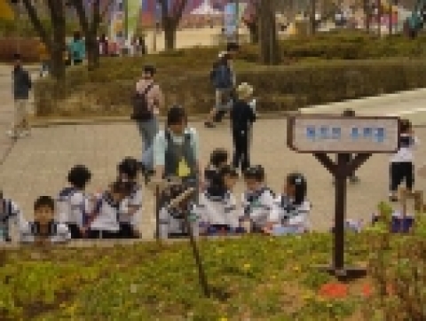 서울 능동 어린이대공원 봄꽃축제(4.2～5.29)를 맞아 식물원 앞 화단에 현재 독도에서 자생하는 참나리 등 14종 2,700본을 식재해 ‘독도에 피는 우리 꽃동산’을 조성(100