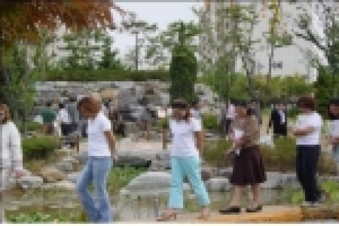 학교숲워크숍 현지연찬(서촌초등학교)