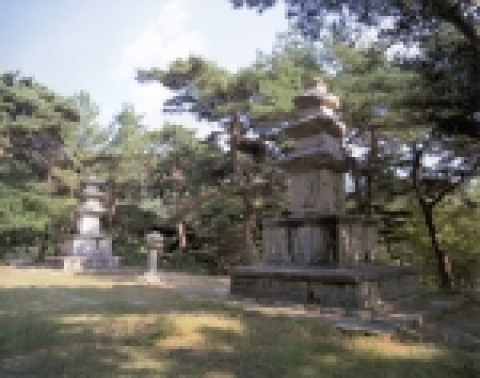 문화재청(청장 兪弘濬)은 문화재위원회 심의를 거쳐 경북 경주시 소재 사적 제46호「경주원원사지」내 삼층석탑(2기, 7m)을 보물 제1429호로 지정하였다.