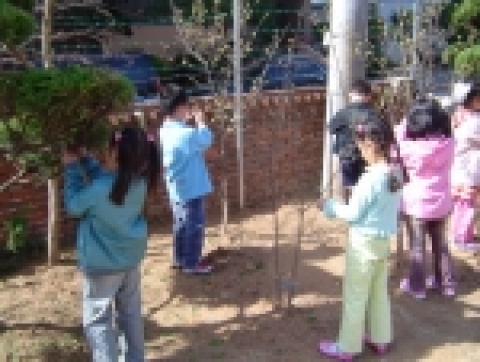 광주시에 소재한 각급 학교에서 ‘학교나무심기운동’으로 학교 숲을 조성하고 있다. 여러 학교에서는 학생들이 입학한 기념으로 나무를 심고 나무이름표를 달아주어 자연스레 나무이름을 알 수 있게 하고 학생과 교직원 1인1그루나무심기 운동을 전개하여 나무의 중요성과 자연의 소중함을 배울 기회를 제공하기로 하였다.