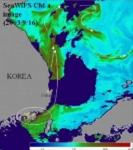 2003년 9월 남해 진해만에서 발생한 적조가 동해연안을 따라 확산 증가하여 동해의 중심까지 확장되었을 보여준다. 이러한 적조정보는 위성자료로만 확인이 가능하다.