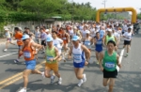 지난해 제 5회 울산-현대 전국 산악마라톤대회