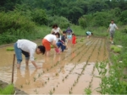 농사체험교실(길동생태공원)
