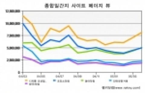 종합 일간지 사이트 페이지 뷰