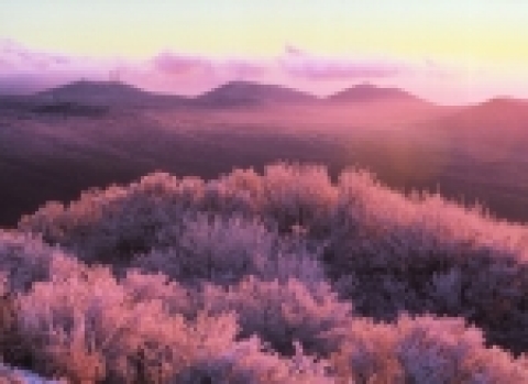 한라산을 배경으로 많은 사진작품을 촬영해 온 강광미 작품