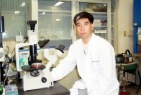 한국생명공학연구원(생명硏, 원장 양규환 梁奎煥) 세포생물학연구실 권두한 박사팀은 국내외 각종 자생식물로부터 얻은 추출물을 연구한 결과, 어성초 등 4종 이상의 식물에서 얻은 천연물질이 라이노바이러스, 코로나바이러스, 인플루엔자바이러스, 파라인플루엔자바이러스 등 감기 바이러스의 세포 내 증식억제에 효능이 있다는 것을 규명하였다.