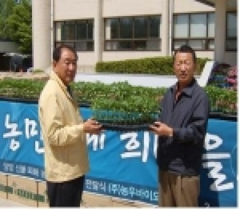 산불피해로 시름을 겪고 있는 강원도 양양군 강현면 적은리, 침교리의 고추재배를 희망하는 농가에게 고추 모 1만5천주(3천만원 상당)를 농우그린텍(회장 고희선)에서 지원