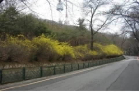 남산공원관리사업소에서는 남산을 둘러싸고 있는 휀스 총 25.9km중 14km를 2005년 6월중 철거완료한다.