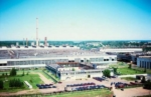 Ishevk plant