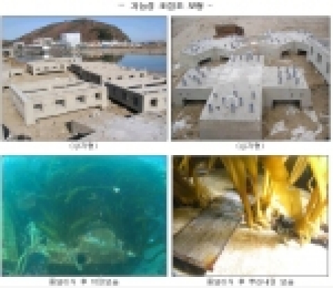 국립수산과학원에서는 2002년부터 동해 연안에 갯녹음(백화현상)이 발생한 해역의 생태계 복원을 위하여 해조 종묘를 인공적으로 이식할 수 있는 기능성 조림초 상자형, 십자형 2종을 개발하여 시험한 결과 종묘 이식에 탁월한 효과가 있는 것으로 밝혀져, 특허출원 하였다.