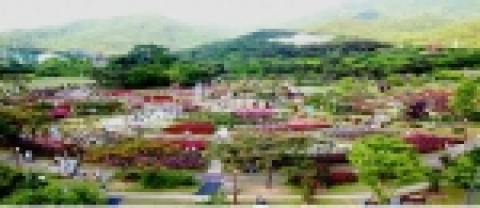 환상의 장미와 축제 한마당… 250여종 수천만송이의 장미가 장관을 이루는 국내 최대 규모의 서울대공원 동물원옆 장미원 축제는 대한민국 최고의 장미축제로 자리를 잡아가고 있다.