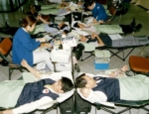한전 사회봉사단 1주년 기념행사의 일환으로 5월 19일 한전 본사에서 열린 '사랑의 헌혈행사'에서 본사 임직원들이 적극적으로 헌혈에 동참하고 있다. 이날 모아진 헌혈증서는 "백혈병 어린이 돕기"를 위해 쓰여질 예정이다.