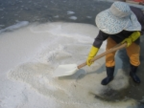 투어엣커뮤니케이션(www.tourat.com 대표 이복희)는 한국어항협회(www.fipa.or.kr 회장 배평암)과 “아름다운 어촌 찾아가기!”라는 테마여행을 출시하였다. 