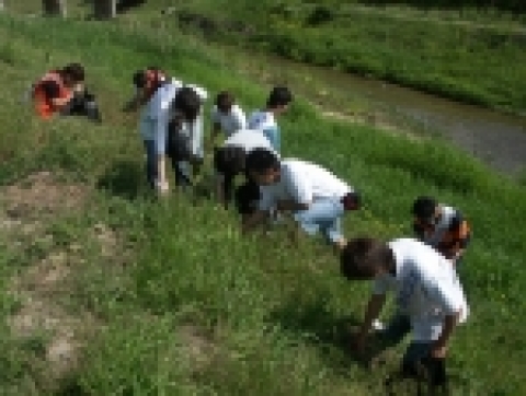 청주대학교는 5.19일(목) 오후 2시부터 약 3시간 동안 학생, 교직원 300여명이 참여한 가운데 율량천 일대 정화활동을 벌였다.
