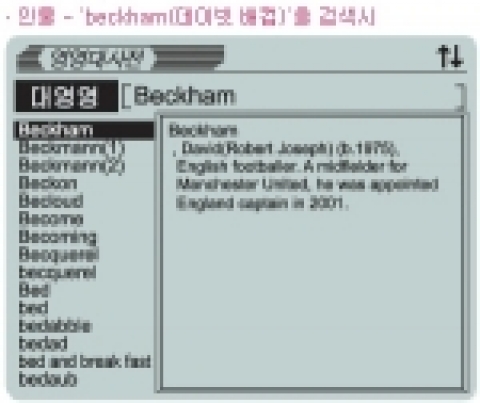 데이빗 베컴 검색 화면.