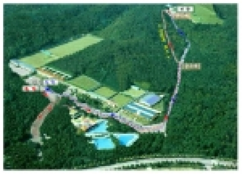 대회코스. 6Km 참가자는 도착점에서 반환합니다. (2바퀴) 무리한 런닝을 피하기 위해 휴식공간으로 급수대, 간식대가 준비되어 있습니다. 급수대에서는 애견들에게는 소취음료가... 마라토너에게는 생수가 지급됩니다. 간식대에서는 애견들에게는 통조림과 쿠키가... 마라토너에게는 우유, 빵이 동시 지급됩니다.