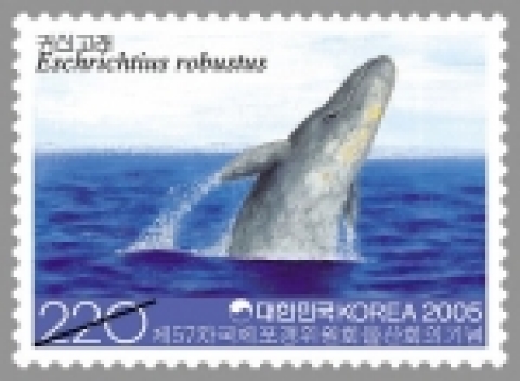 우정사업본부(본부장 : 黃仲淵)는 5월 27일부터 6월 24일까지 고래의 고장 울산에서 개최되는 “제57차 국제포경위원회 울산회의”를 기념하기 위하여 기념우표 1종을 27일 발행한다고 밝혔다. 이번에 발행하는 우표는 1962년 천연기념물 제126호로 지정, 보호하고 있는『귀신고래』를 소재로 디자인 하였으며, 새 우표 발행을 축하하는 “우표디자이너 사인행사”가 27일 낮 12시부터 1시간 동안 남울산우체국에서 있을 예정이다.