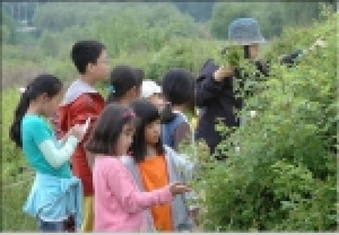 고덕수변 생태공원에 식재된 찔레나무는 이달 말에 활짝 필 것으로 예상되며, 생태프로그램과 함께 찔레나무관찰 및 찔레순 맛보기 프로그램도 같이 진행한다