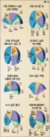 LG카드에서 지난 5월 8일부터 14일까지 30,40대 전업주부 518명을 대상으로 테마 리서치를 실시했다.