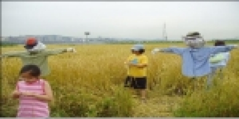 2004년 밀서리 행사 사진`허수아비 만들기'