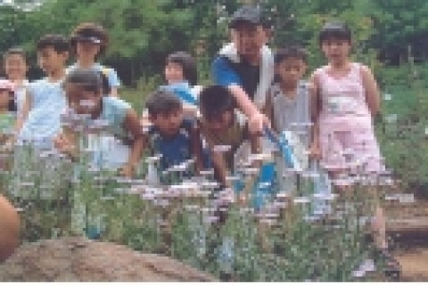 2005 서울사랑시민상 환경부문 본상을 수상한 사람(단체)으로 푸른마을 분야는 성동구 매봉산 중턱의 등산로 주변에 야생화를 식재하여 가꾸고, 야생화마다 이름표를 달아 초·중학생들을 대상으로 자연체험 학습의 기회를 제공한 ‘안억붕’씨가 선정 되었다.